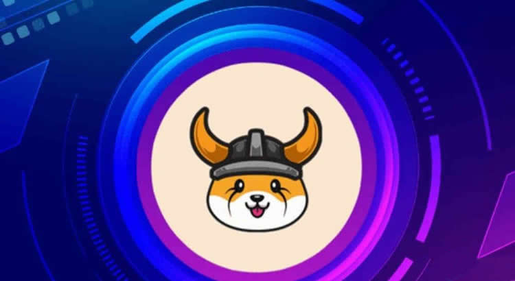 FLOKI币合约地址多少？FLOKI币合约地址官方介绍