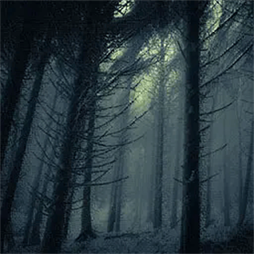 孤寂之地汉化版