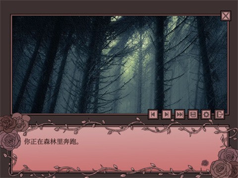 孤寂之地汉化版