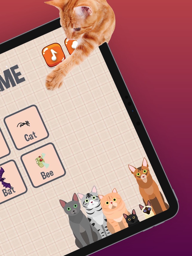 ‎猫游戏