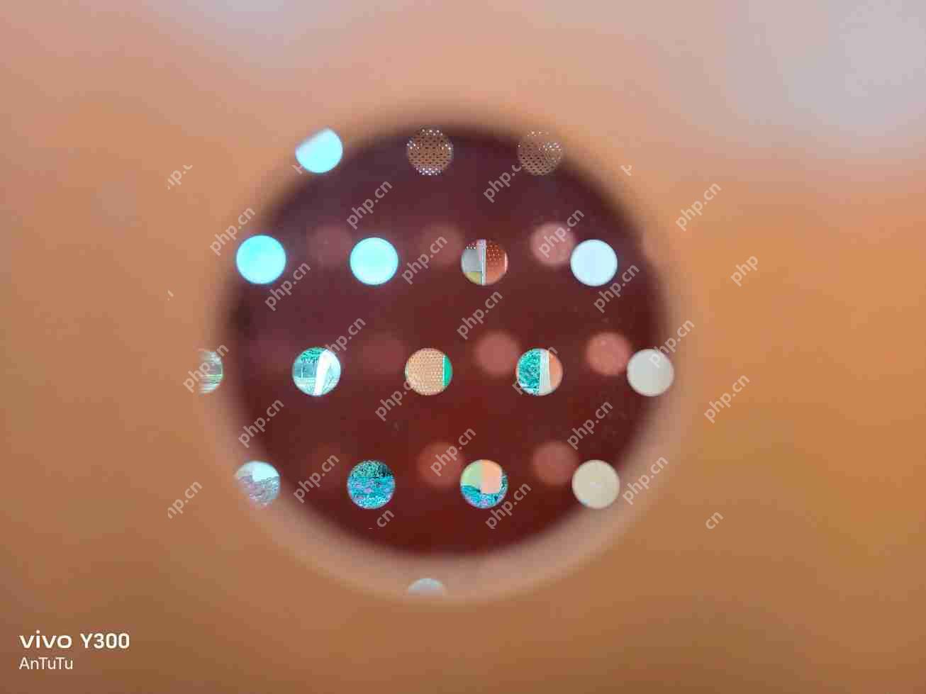 vivo Y300评测:入门≠平庸