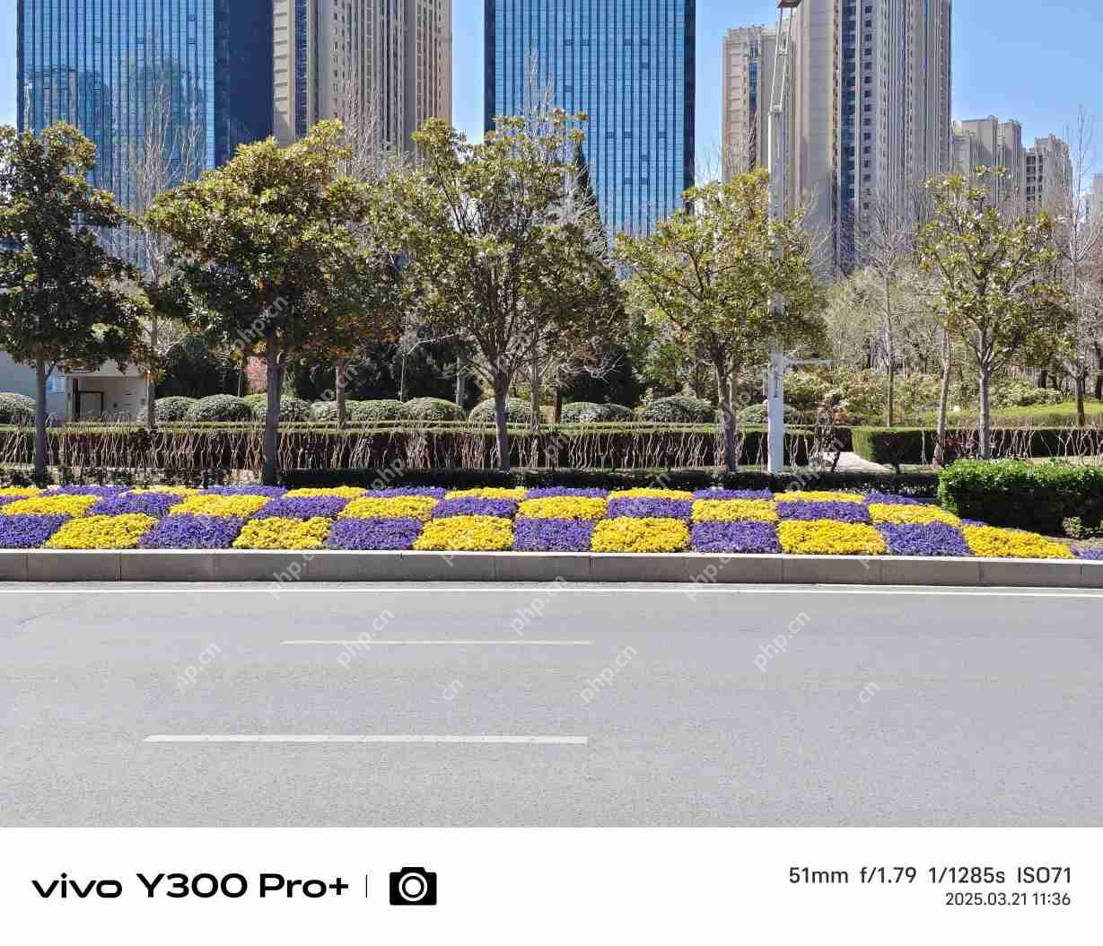 vivo Y300 Pro+评测：同档续航最强？