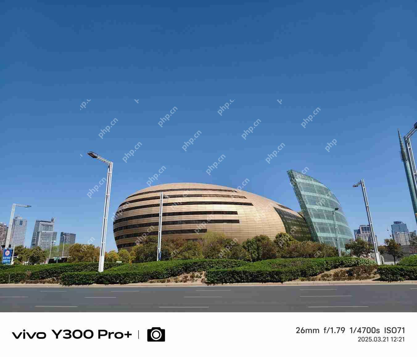 vivo Y300 Pro+评测：同档续航最强？