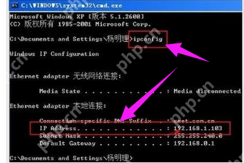 局域网如何设置共享打印机？