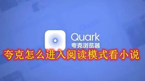 夸克怎么进入阅读模式看小说 夸克设置阅读模式看小说方法