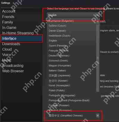 Steam安装后是英文的怎么办 Steam语言设置中文的方法