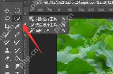 PS怎么把图抠出来不要背景？