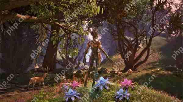 上古卷轴4重制版法师升级加点攻略