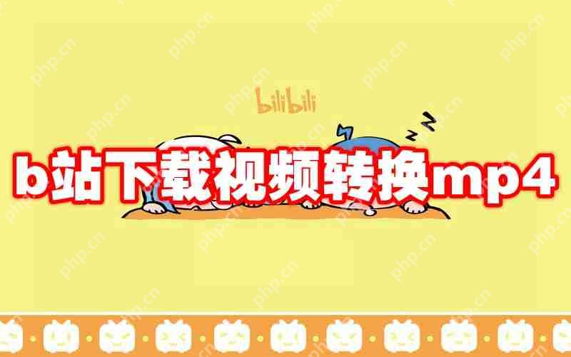 b站下载视频转换mp4