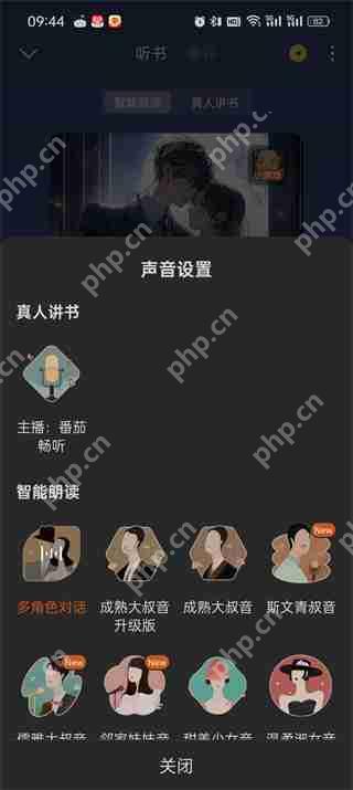 番茄小说听书怎么更换声音
