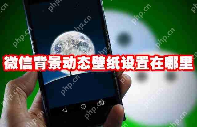 微信背景动态壁纸设置在哪里