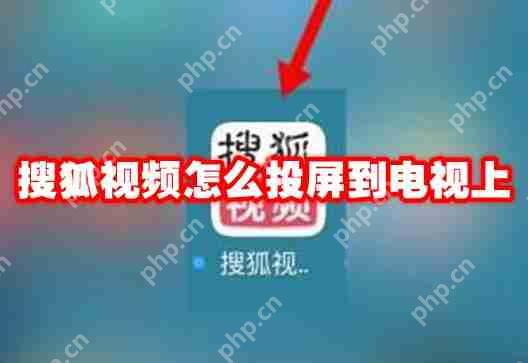 搜狐视频怎么投屏到电视上
