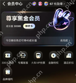 美团黑金会员怎么获得 美团黑金会员需要消费多少钱