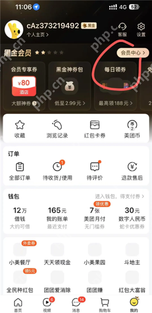 美团黑金会员怎么获得 美团黑金会员需要消费多少钱