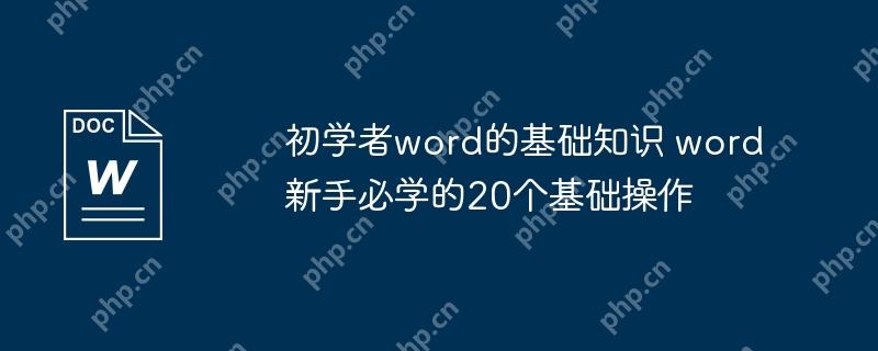 初学者word的基础知识 word新手必学的20个基础操作