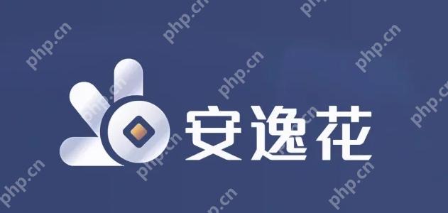 安逸花50000一天利息 安逸花大额借款利息示例