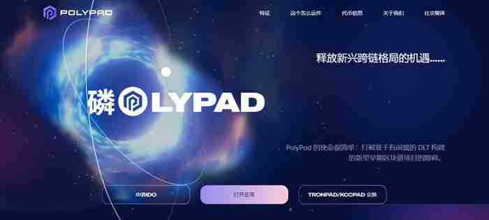 POLYPAD币种详解：投资价值分析