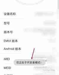 荣耀开发者模式怎么打开