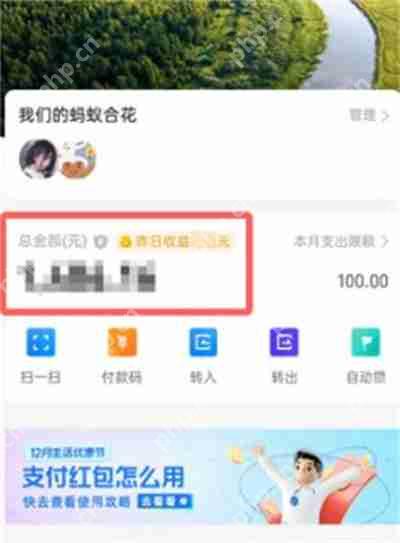 支付宝小荷包怎么查看全部的收益