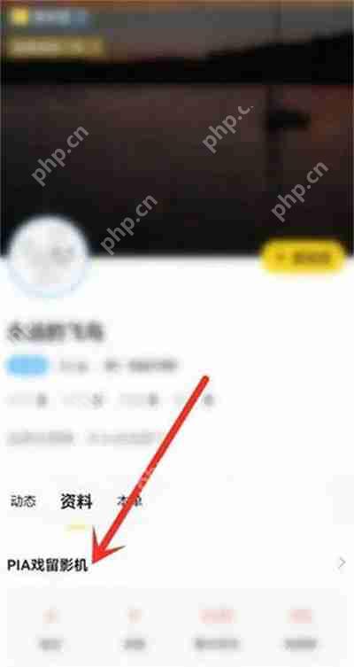 戏鲸如何公开pia戏留影机