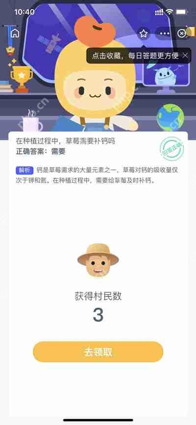 草莓怎么种植