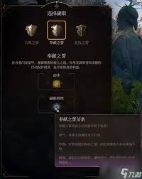 博德之门3王冠之誓圣武士如何升级解锁能力
