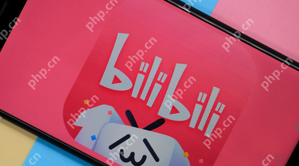 B站国产大片视频入口 b站国产bilibili进入视频在线 - 菜鸟下载