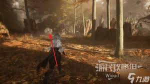 光与影33号远征队来生再会怎么获取