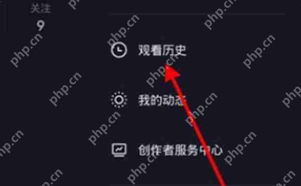 抖音看过的视频记录在哪里