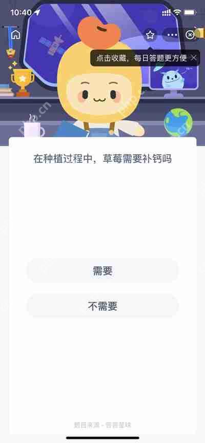 在种植过程中草莓需要补钙吗