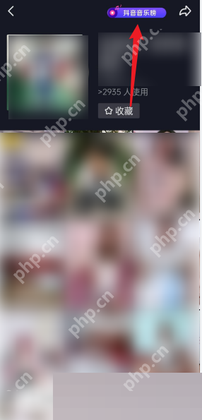 抖音碟片在哪里