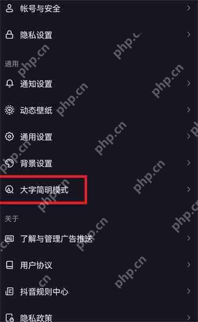 抖音怎么开启大字简明模式