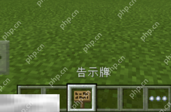 我的世界特殊符号怎么输入 字体颜色代码分享