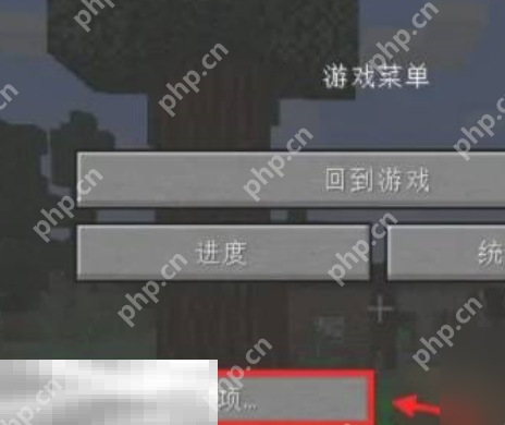 我的世界UI大小怎么调整 界面调整步骤一览