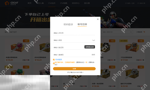 2025最新开箱子csgo网站推荐 老牌csgo开箱网站新手指南