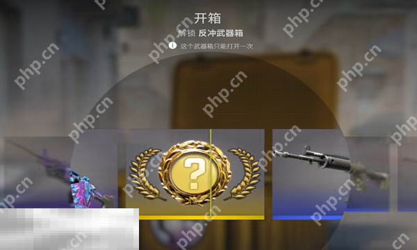 2025最新开箱子csgo网站推荐 老牌csgo开箱网站新手指南