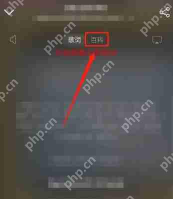 网易云音乐百科怎么改？歌曲百科编辑修改方法介绍