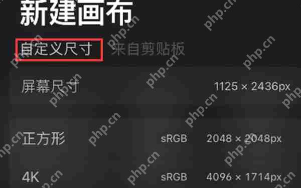 procreate分辨率怎么自己设置