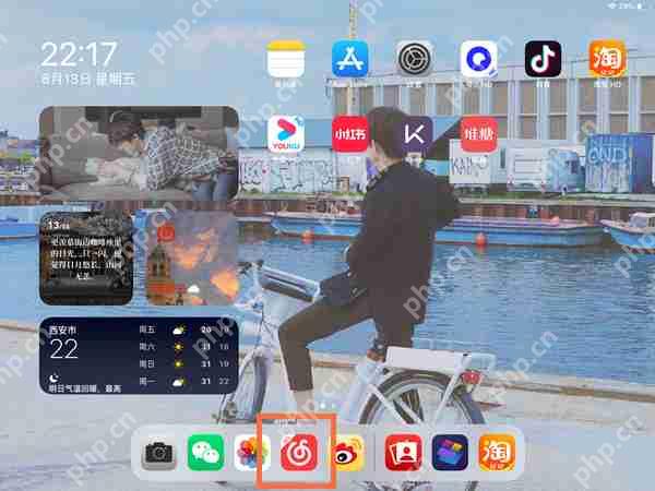 ipad悬浮歌词怎么设置