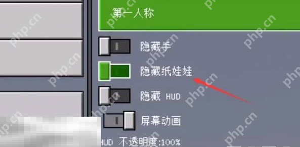 我的世界显示左上角小人方法 界面显示效果开启教程