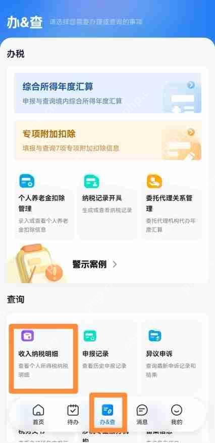 自然人电子税务局app如何查询收入纳税明细 个税App查询收入纳税明细方法