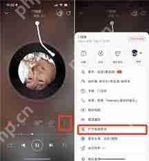 网易云音乐桌面歌词怎么设置