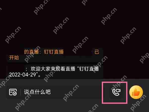 钉钉老师提问学生怎么连麦