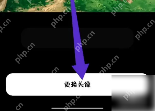 猫箱app如何换头像 猫箱更换头像方法