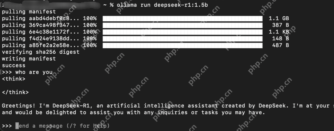 DeepSeek，我入局了！