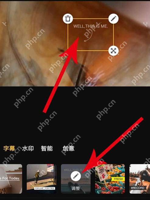印象怎么添加字幕?添加字幕的方法介绍