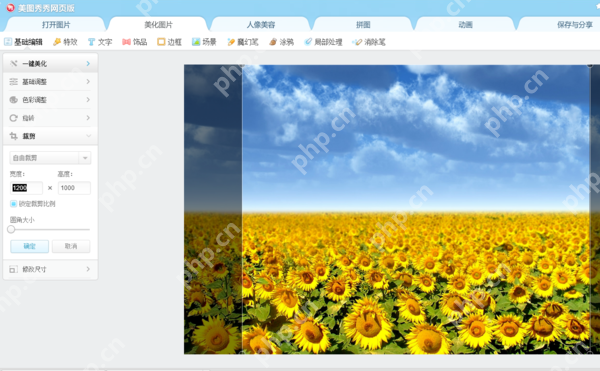 美图秀秀怎么把图片dax设为固定尺寸 图片大小设为固定尺寸方式一览