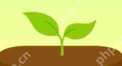 forest怎么加好友？forest加好友的方法说明