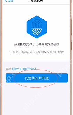 淘宝如何设置指纹支付？设置指纹支付方法说明