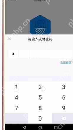 淘宝如何设置指纹支付？设置指纹支付方法说明